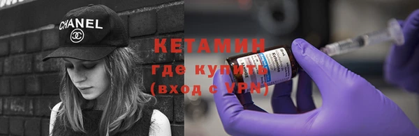 прущие грибы Аркадак