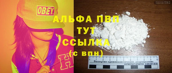 прущие грибы Аркадак