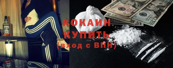 прущие грибы Аркадак