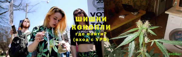 прущие грибы Аркадак